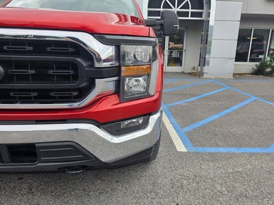 2023 Ford F-150 XLT 4WD SuperCrew 5.5' Box