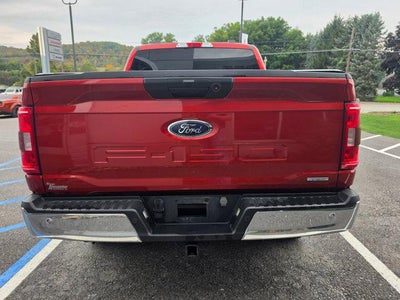 2023 Ford F-150 XLT 4WD SuperCrew 5.5' Box