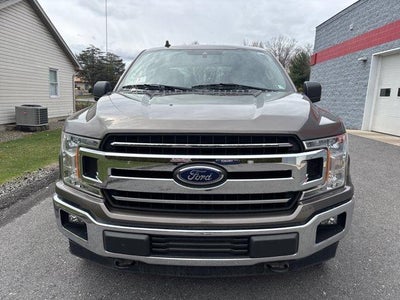 2019 Ford F-150 XLT 4WD SuperCrew 5.5' Box