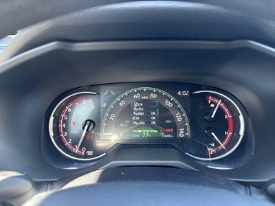 2025 Toyota RAV4 XLE AWD (Natl)