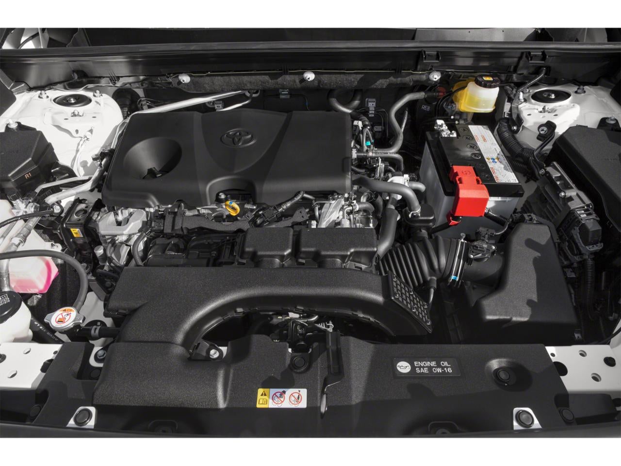 2020 Toyota RAV4 XLE AWD (Natl)