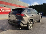 2025 Toyota RAV4 XLE AWD (Natl)