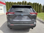 2024 Toyota RAV4 Hybrid XLE AWD (Natl)