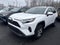 2025 Toyota RAV4 Hybrid XLE AWD (Natl)