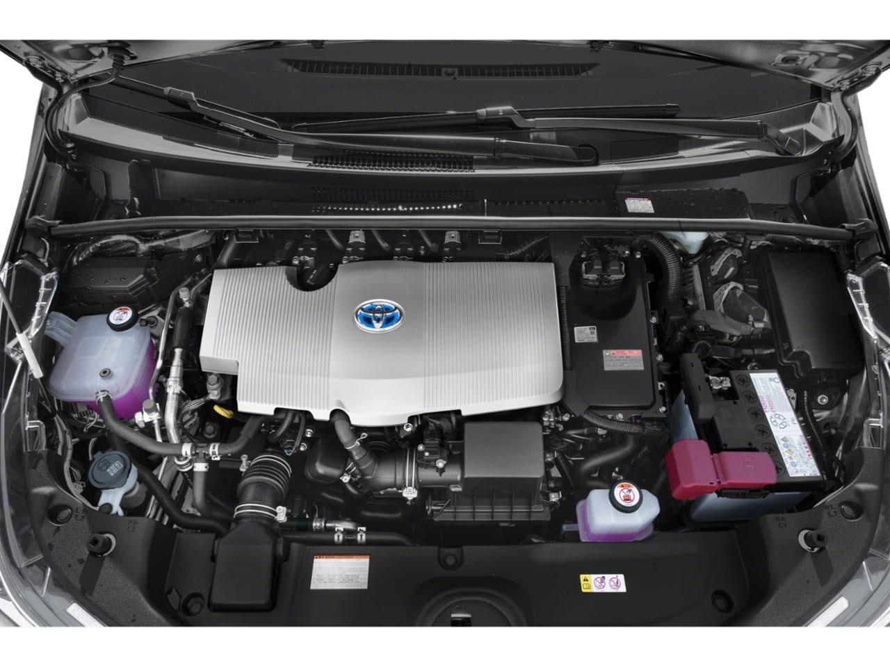 2019 Toyota Prius LE (Natl)