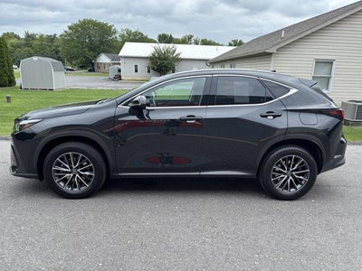 2024 Lexus NX 350h Premium AWD
