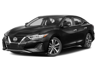 2023 Nissan Maxima SV CVT