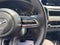 2025 Mazda Mazda CX-50 Hybrid Premium Plus Package AWD