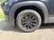 2025 Mazda Mazda CX-50 2.5 S Premium Package AWD