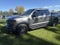 2024 Ford F-150 XLT 4WD SuperCrew 5.5' Box