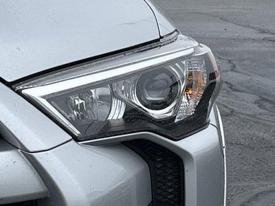 2024 Toyota 4Runner SR5 Premium 4WD (Natl)