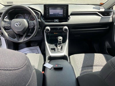 2019 Toyota RAV4 XLE AWD (Natl)