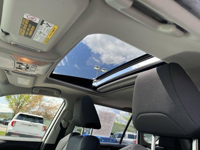 2019 Toyota RAV4 XLE AWD (Natl)