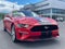 2019 Ford Mustang GT Premium Fastback