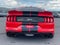 2019 Ford Mustang GT Premium Fastback