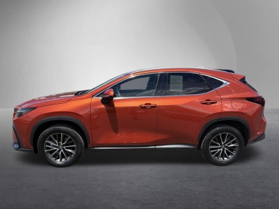 2023 Lexus NX 350 Premium AWD