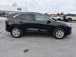 2023 Ford Escape Active AWD