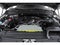 2020 Ford F-150 Platinum 4WD SuperCrew 5.5' Box