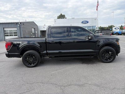 2024 Ford F-150 XLT 4WD SuperCrew 5.5' Box