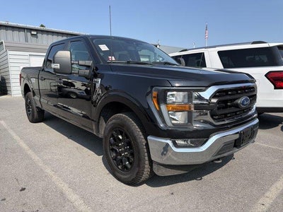 2023 Ford F-150 XLT 4WD SuperCrew 5.5' Box