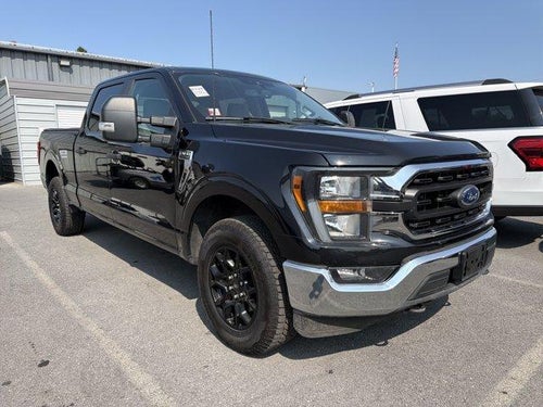 2023 Ford F-150 XLT 4WD SuperCrew 5.5' Box