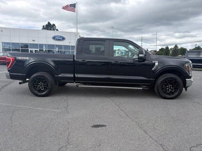 2023 Ford F-150 XLT 4WD SuperCrew 5.5' Box