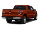 2014 Ford F-150 4WD SuperCrew 5-1/2 Ft Box XLT