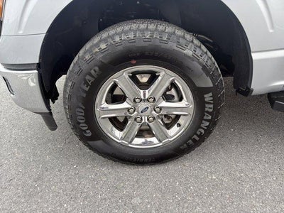 2024 Ford F-150 XLT 4WD SuperCrew 5.5' Box