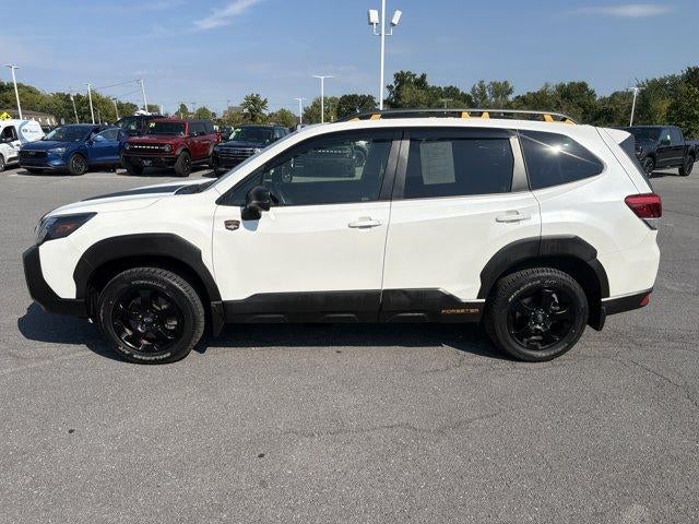 2024 Subaru Forester Wilderness AWD