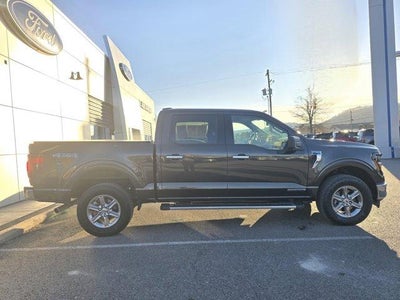 2024 Ford F-150 XLT 4WD SuperCrew 5.5' Box